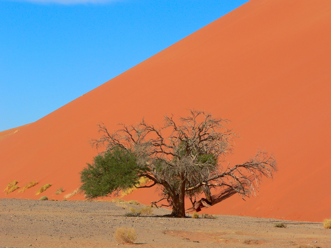 0077_0075_Namibia-050504-095440_P1000893