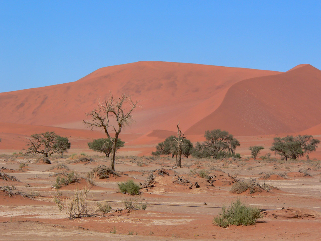 0082_0084_Namibia-050504-104438_P1000916