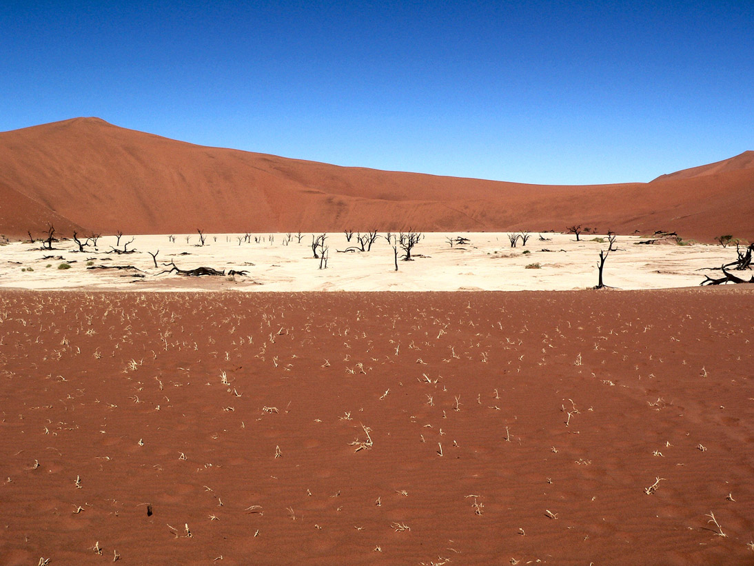0096_0094_Namibia-050504-130936_P1000974