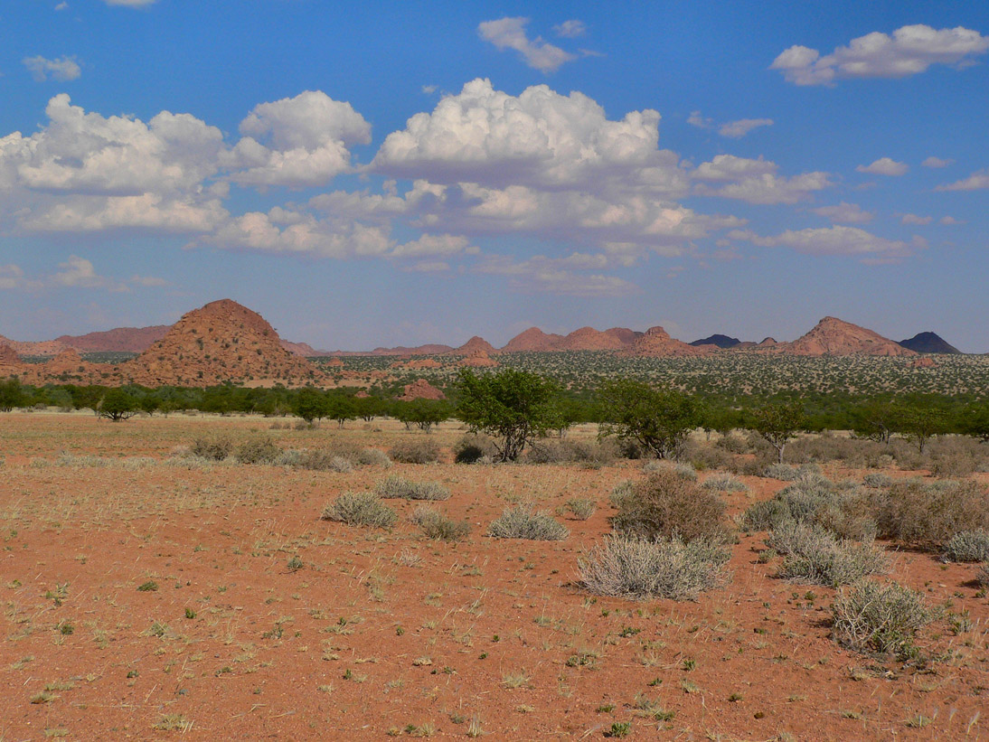 0205_0204_Namibia-050509-150414_P1010278