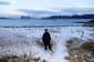 1015_Norwegen_2021_11_14_100626_P1090292