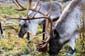 1116_Norwegen_2021_11_18_094635_P1090405