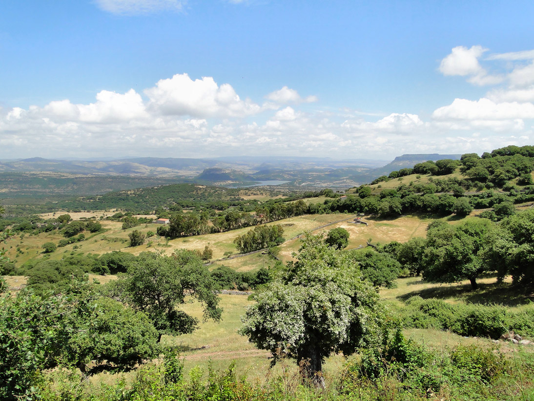 1068_20110611_143320_Sardinien2011_DSC04229