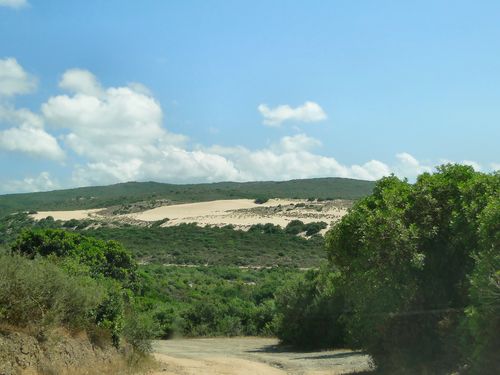 1056_20110609_153722_Sardinien2011_DSC04167.jpg