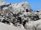 1086_20110615_124430_Sardinien2011_DSC04286