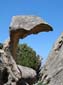 1091_20110615_142850_Sardinien2011_DSC04301