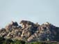 1095_20110615_192854_Sardinien2011_DSC04314