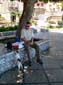 248_Sizilien_2007_05_06-123738_P1Sizilien_2007_04_00