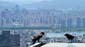 1576_Suedkorea_20250522_120138_P1022507