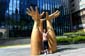 1608_Suedkorea_20250522_142702_P1022529