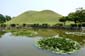 1952_Suedkorea_20250527_112047_P1022875