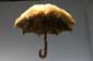 &nbsp;