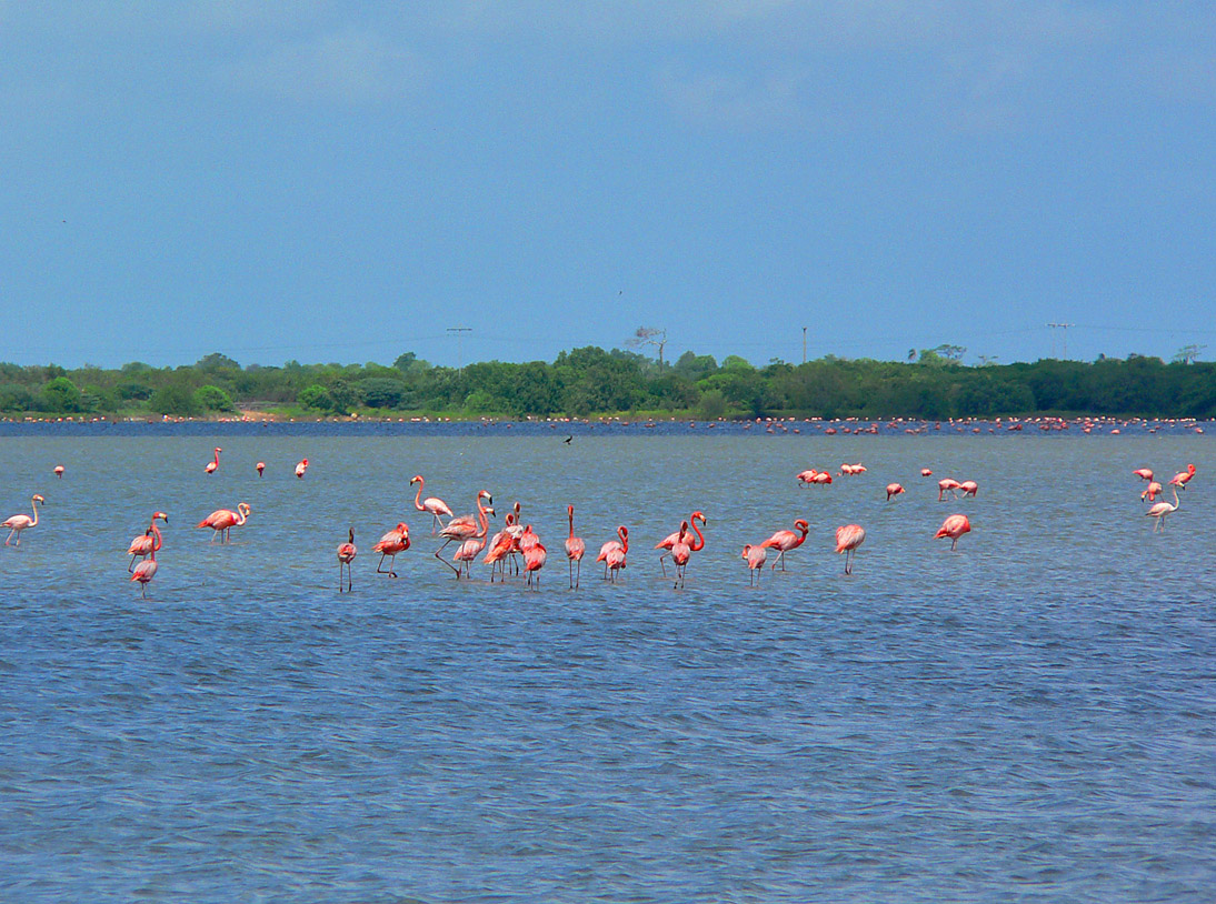 1166_Venezuela_2005_1103_114618_P1040090